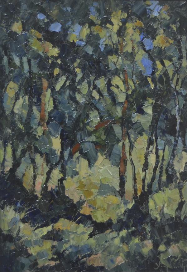 Sunlit Forest - Stacey Conridge