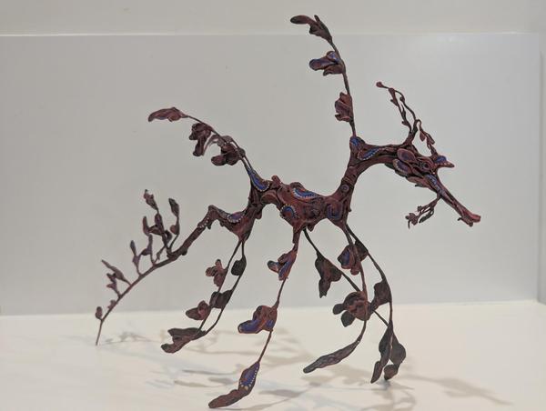 Leafy Seadragon - Hayley Hipwell