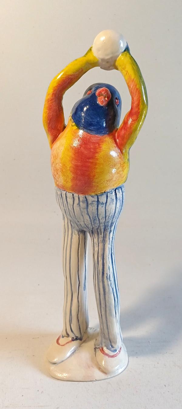 Rainbow Lorikeet catching a Ball - Sally Hook