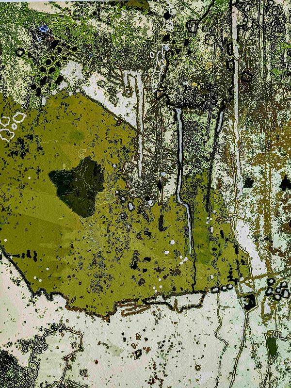 Greg Mallyon Artist - Greg Mallyon