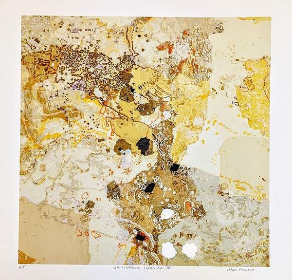 Wadawurrung Landscape III - Greg Mallyon