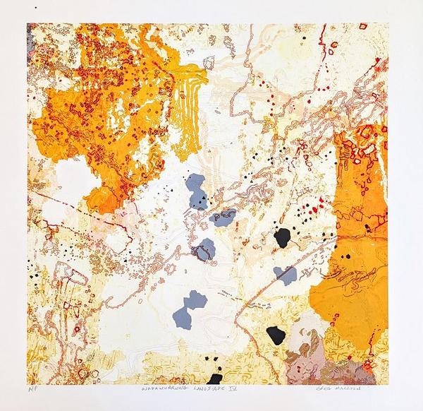 Wadawurrung Landscape IV - Greg Mallyon