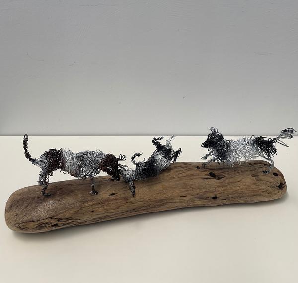 Dog Day Out - Deb Moroney