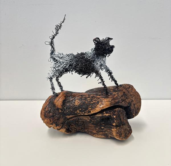 Frank keeps watch - Deb Moroney