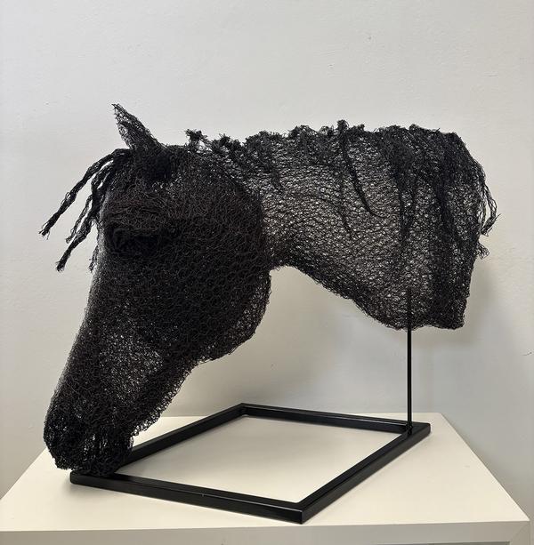 Horse Head - Deb Moroney