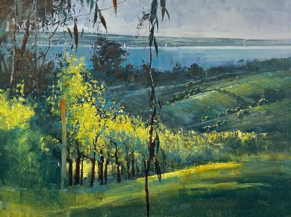 Peninsula Towards Phillip Island - Herman Pekel
