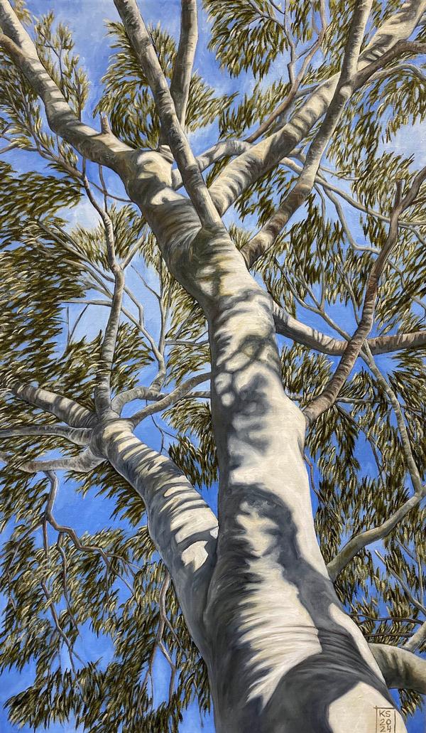 Arbor _7 - Karen Standke