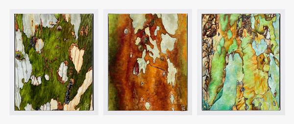 Bark Triptych - Karen Standke