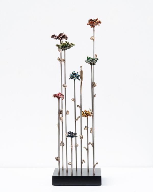 I_m A Wild Seed 16 - Jennyfer Stratman