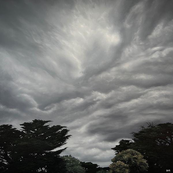 Brooke Van Ruiswyk Artist - Brooke van Ruiswyk