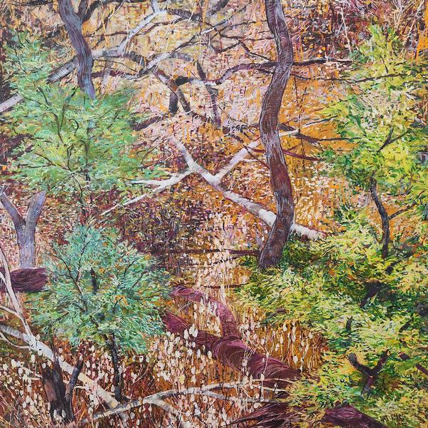 Beautiful Scrubland _10 - Nat Ward