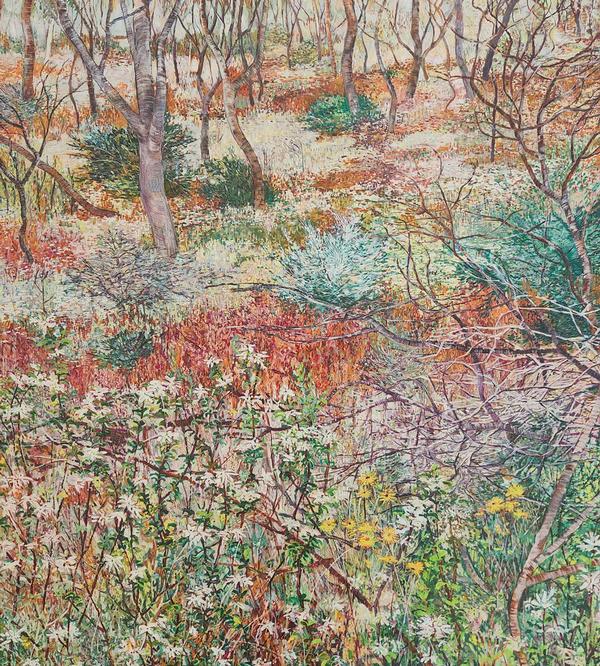 Beautiful Scrubland _3 - Nat Ward