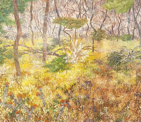 Beautiful Scrubland _4 - Nat Ward