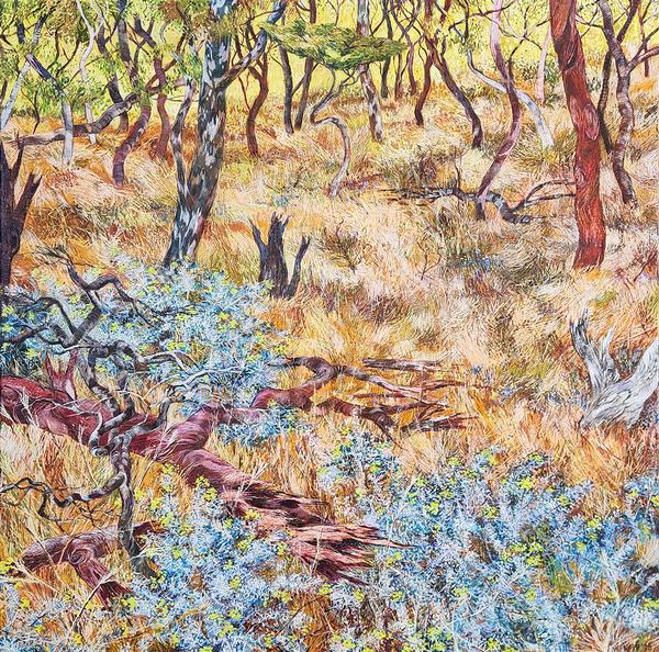 Beautiful Scrubland with Clustered Everlasting Daisies - Nat Ward
