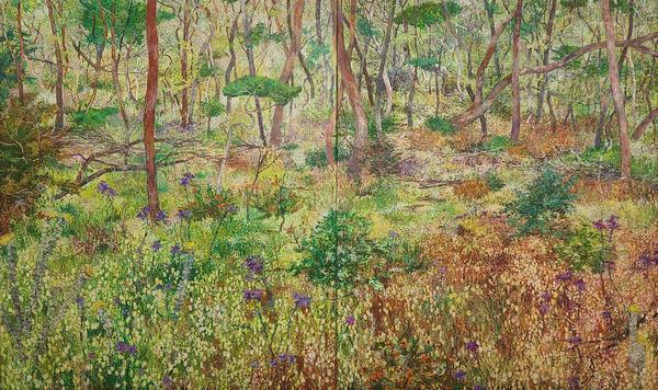 Beautiful Scrubland With Quaking Grass (diptych) - Nat Ward