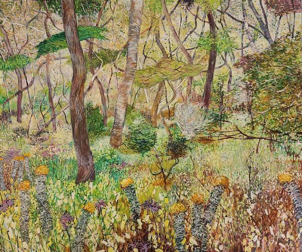 Beautiful Scrubland Small _3 - Nat Ward
