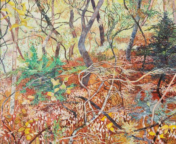 Beautiful Scrubland _4 - Nat Ward
