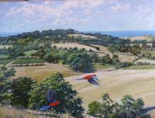 Philip Adams Rolling Hills_ Philip Adams Artist _ Manyung Gallery
