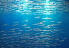 David Ardley David Ardley Artist