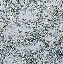 Felicia Aroney Aviary Sky _ Felicia Aroney Artist _ Manyung Gallery