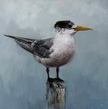 Mal Chambers Mal Chambers Artist