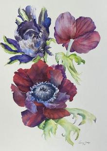 Jenny Coker 