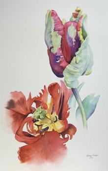 Jenny Coker 