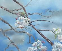 Jenny Coker 