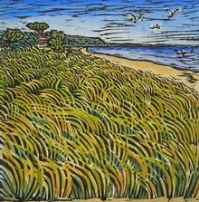 Gillian Haig Grasses_ Safety Beach