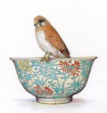 Michaela Laurie Artist