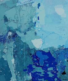 Greg Mallyon 
