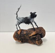 Deb Moroney Frank keeps watch