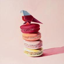 Sarah Park The Sweet Spot