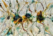 Miertje Skidmore Reclaimed Territory