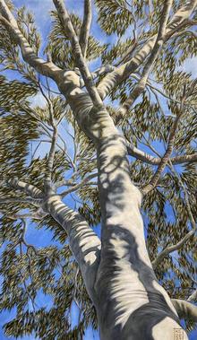 Karen Standke Arbor _7