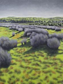 Milligandi Landscape _5