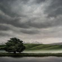 Brooke van Ruiswyk Artist