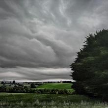 Brooke van Ruiswyk Commission - Old pine valley