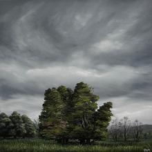 Brooke van Ruiswyk Brooke van Ruiswyk Artist