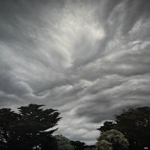 Brooke van Ruiswyk Brooke Van Ruiswyk Artist