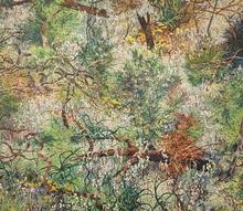 Nat Ward Beautiful Scrubland _5