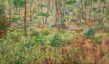 Nat Ward Beautiful Scrubland With Quaking Grass (diptych)