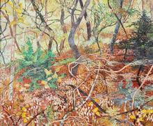 Nat Ward Beautiful Scrubland _4