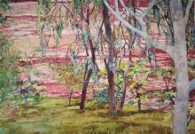 Murray River _1