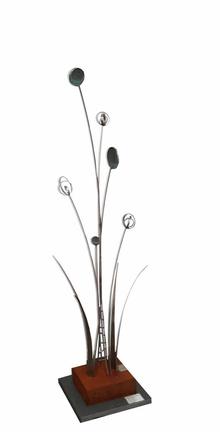 Andrew Kasper Wildflowers
