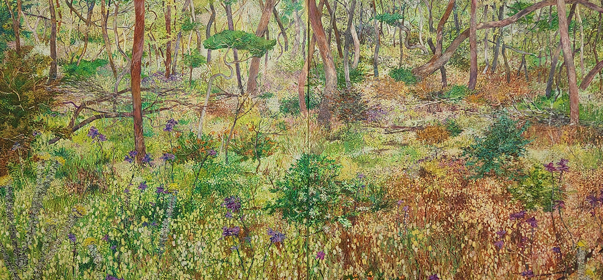 <Font Color= 000000> Nat Ward | 'Beautiful Scrubland (Nail Can Hill)'<br>
9 - 23 August, 2025 | Manyung Gallery Mount Eliza