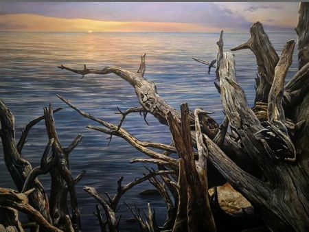 Ocaso - Luis A Saldana