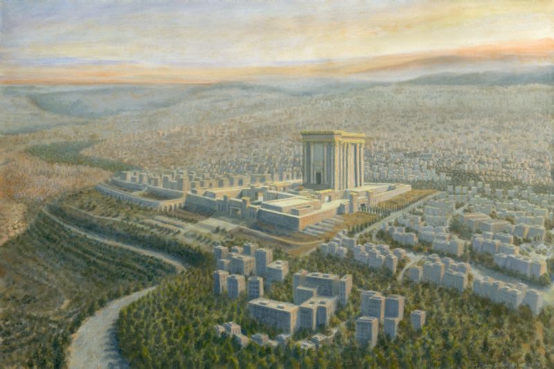 BHar Hashem Yeraeh Bereishit 2214 - Chani Cohen Zada