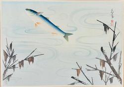 Bakufu Ohno Grey Mullet-Bora