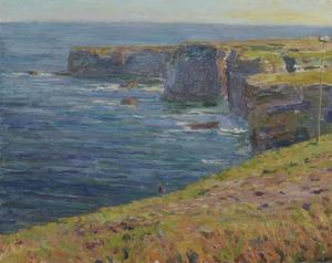 Kevin McNamara Cliffs At Loop Head